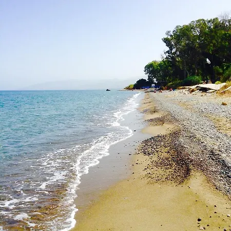 The Summer House Polis