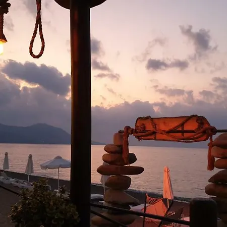 The Summer House Polis