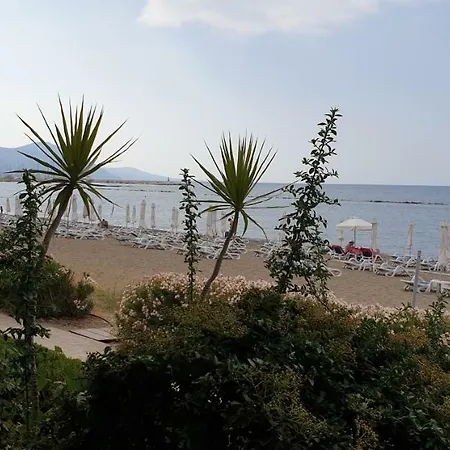 The Summer House Polis