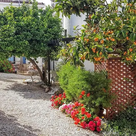 The Summer House بيت للعطل Polis