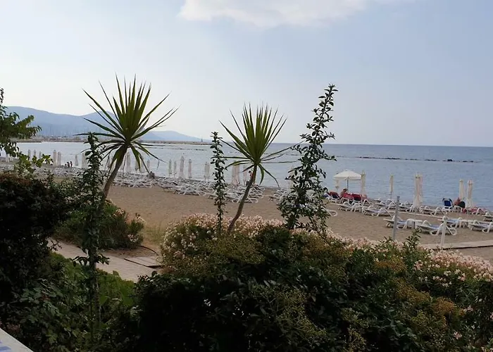 The Summer House Polis