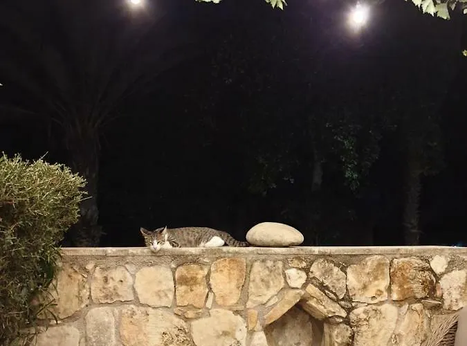 The Summer House Prázdninový dům Polis