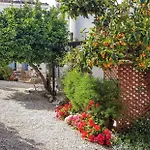 The Summer House Tatil Evi Polis