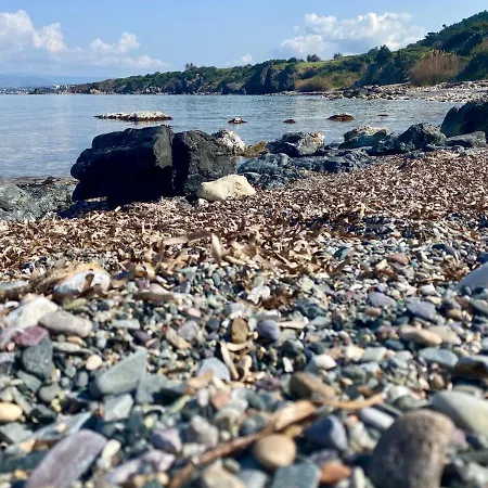 The Summer House * Polis