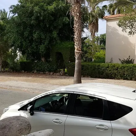 度假居 The Summer House *