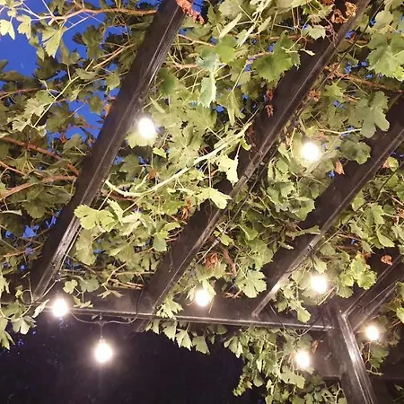 The Summer House * Polis