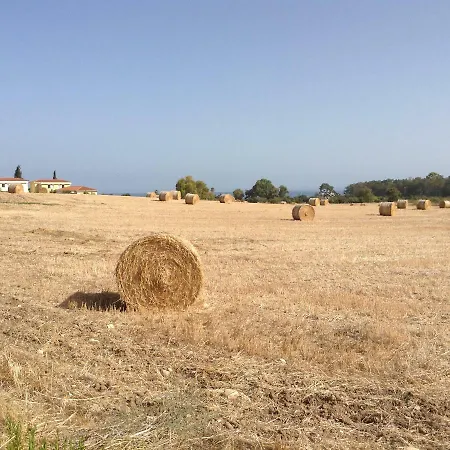 The Summer House Hébergement de vacances Polis