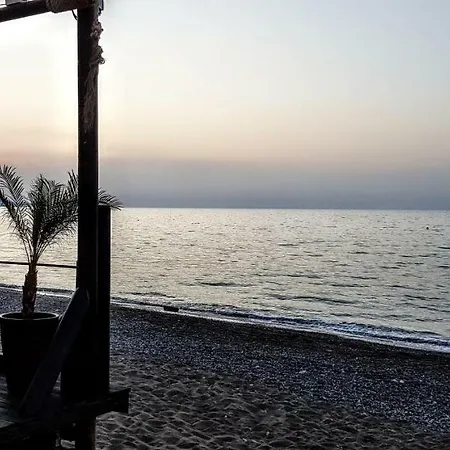 The Summer House *