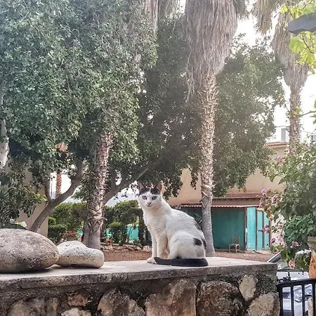 The Summer House 度假居 Polis