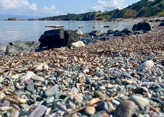 The Summer House * Polis