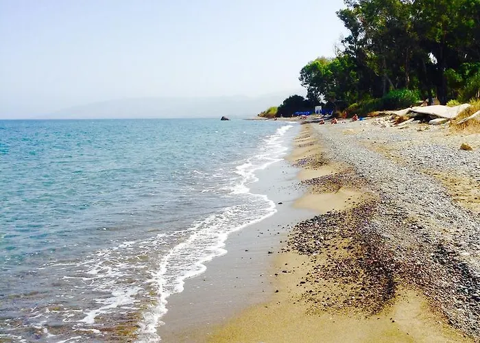 The Summer House Polis