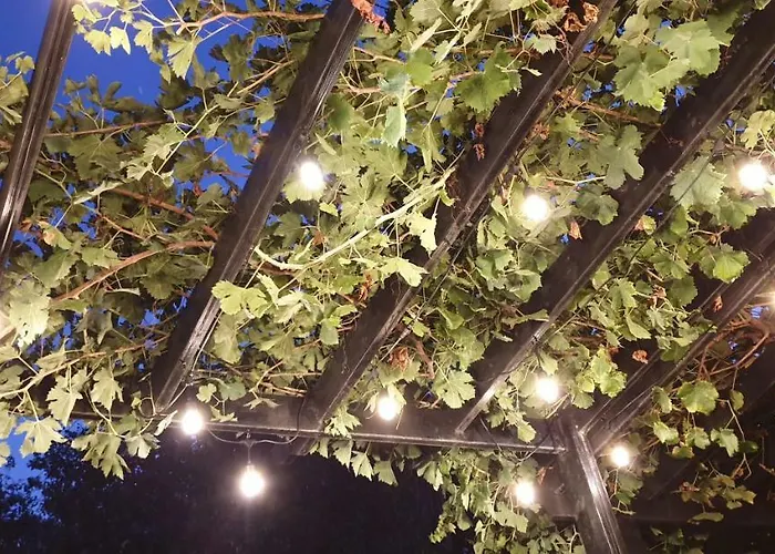 The Summer House * Polis