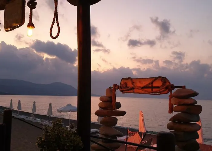 The Summer House Polis