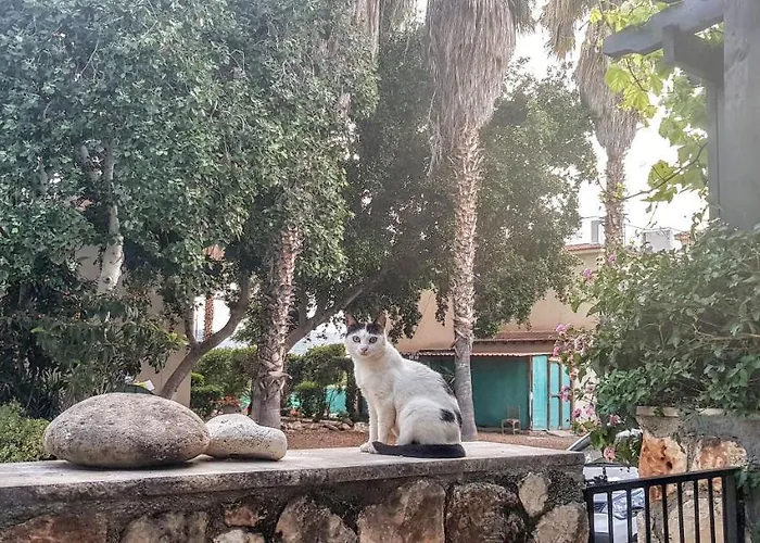 The Summer House Casa vacanze Polis