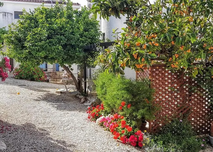 The Summer House Casa vacanze Polis